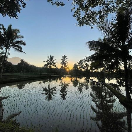 Tereng Wilis Bungalows Tetebatu Dış mekan fotoğraf