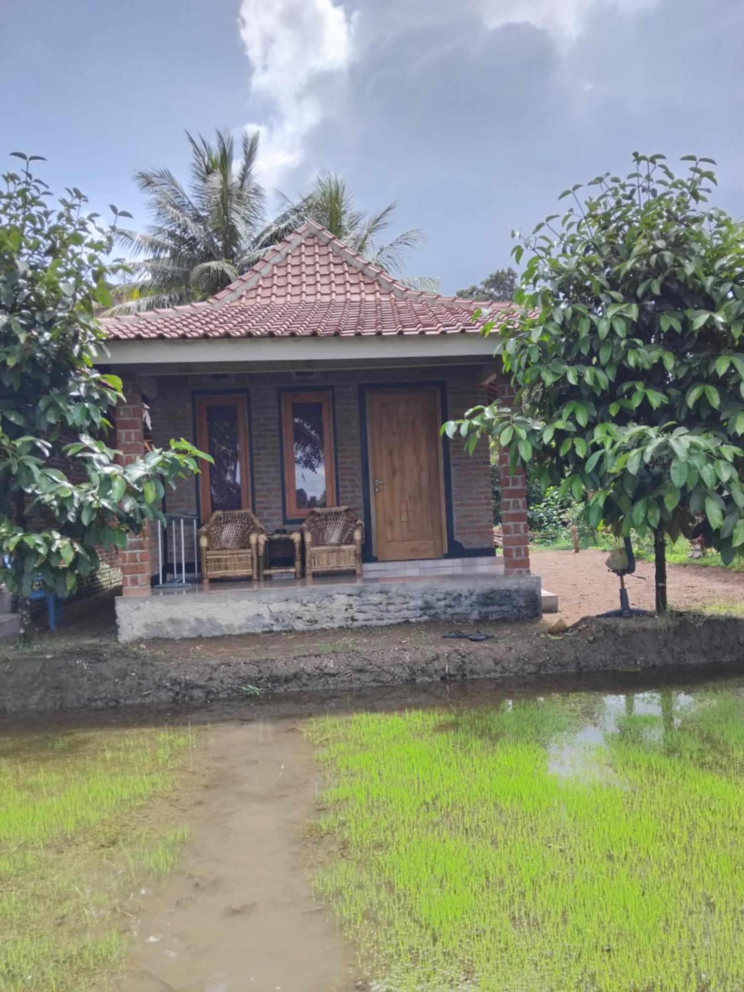 Tereng Wilis Bungalows Tetebatu Dış mekan fotoğraf
