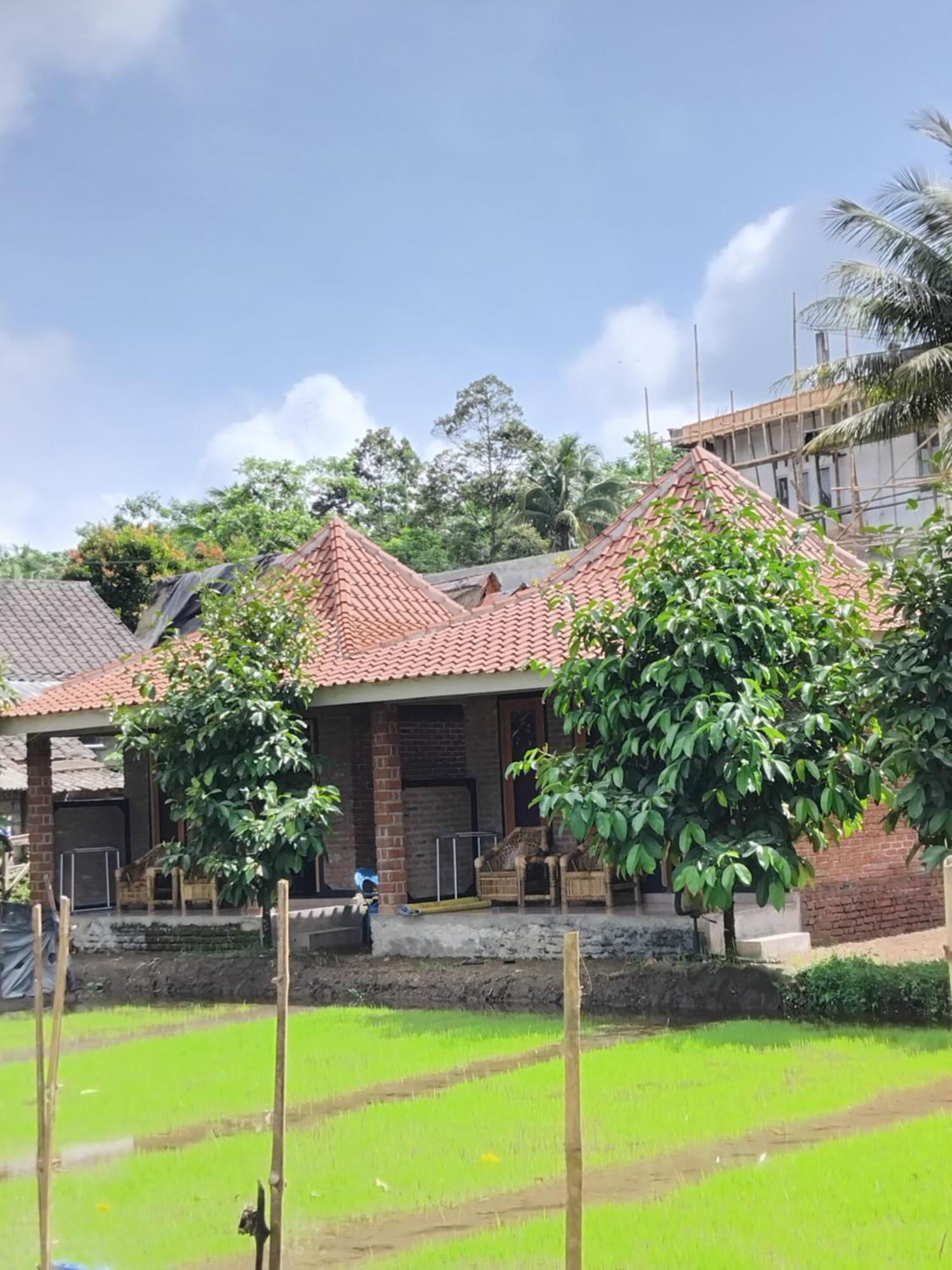 Tereng Wilis Bungalows Tetebatu Oda fotoğraf