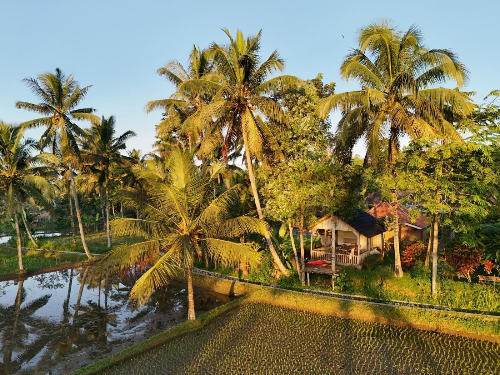 Tereng Wilis Bungalows Tetebatu Dış mekan fotoğraf