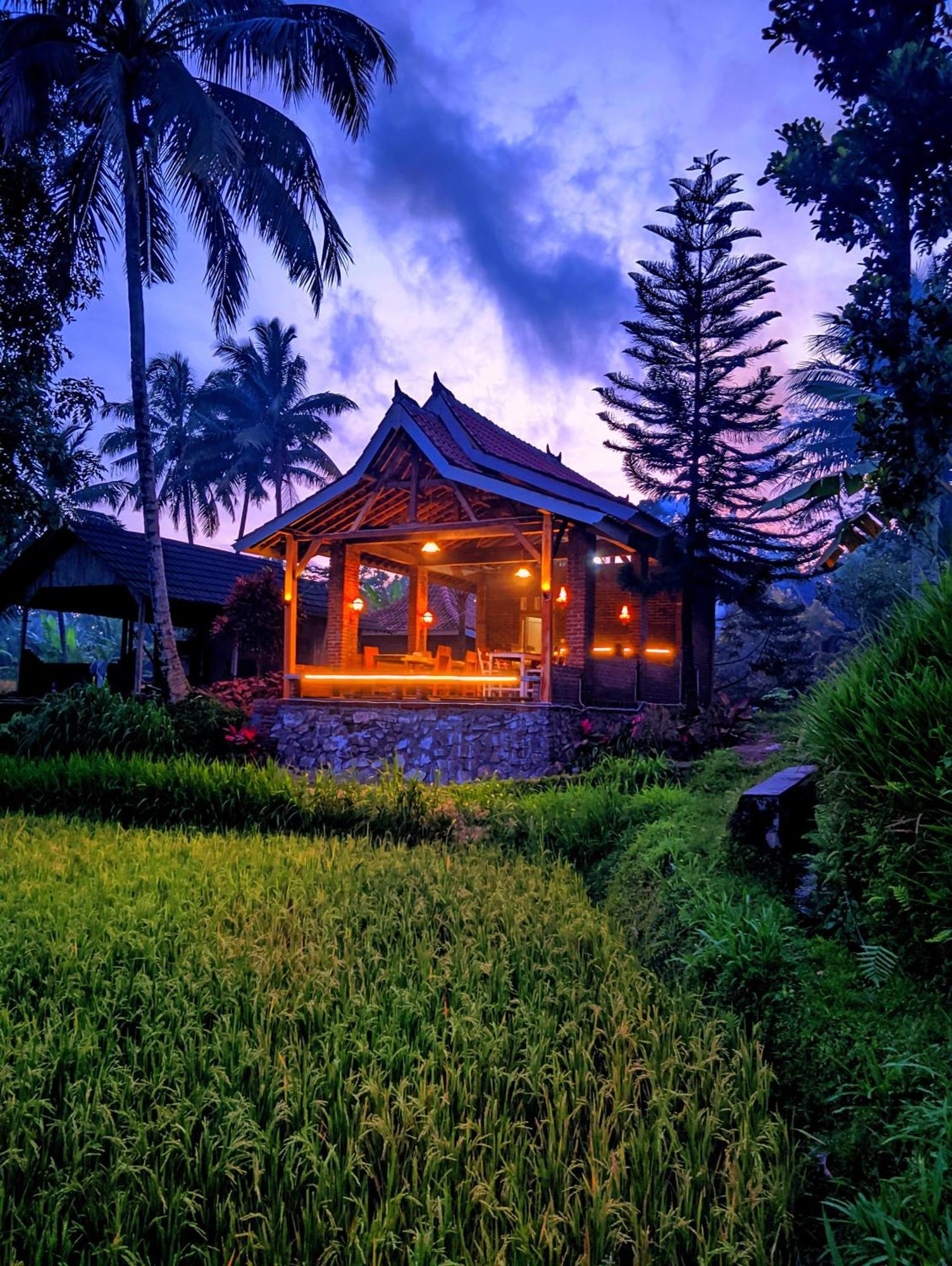 Tereng Wilis Bungalows Tetebatu Dış mekan fotoğraf