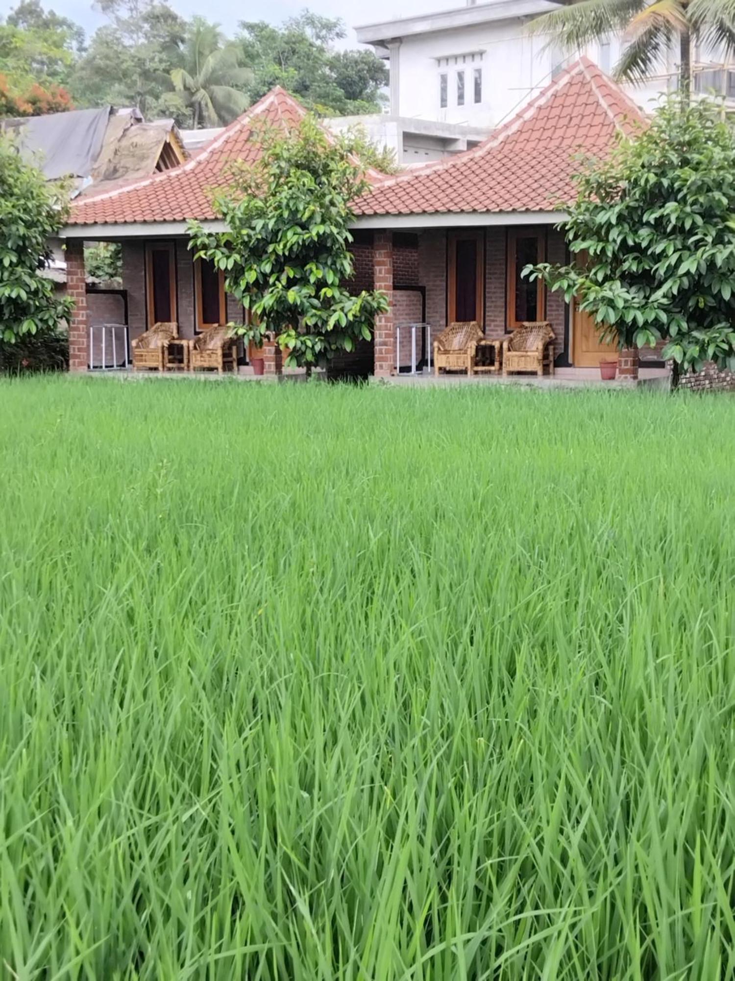 Tereng Wilis Bungalows Tetebatu Dış mekan fotoğraf