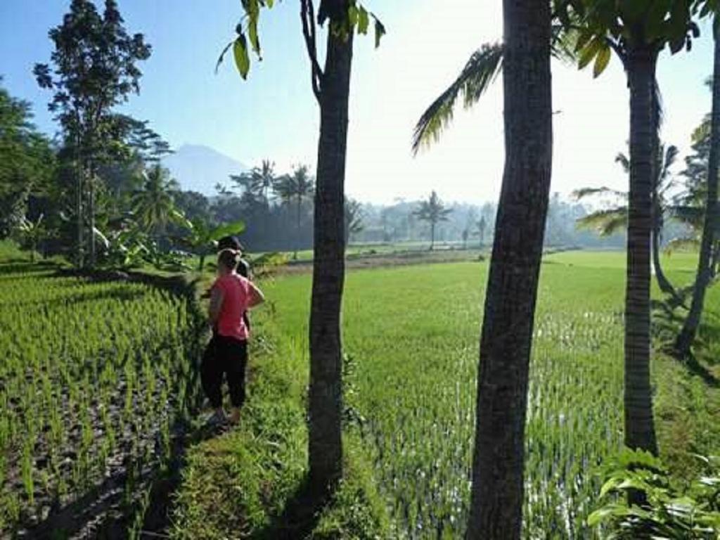 Tereng Wilis Bungalows Tetebatu Dış mekan fotoğraf