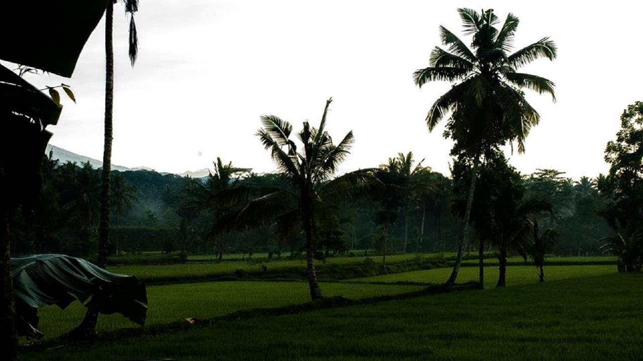 Tereng Wilis Bungalows Tetebatu Dış mekan fotoğraf