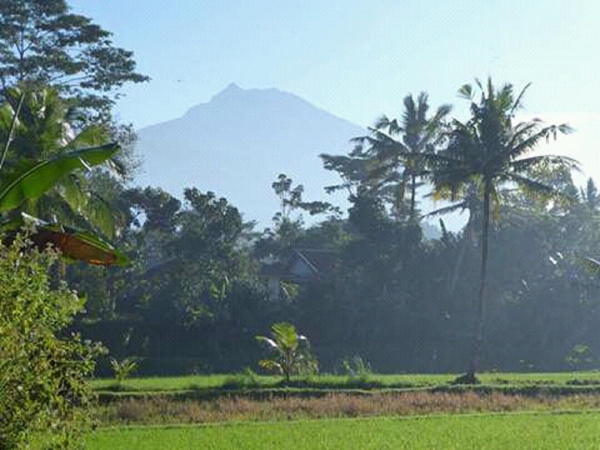 Tereng Wilis Bungalows Tetebatu Dış mekan fotoğraf