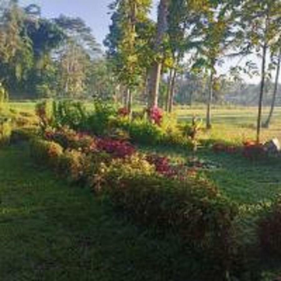 Tereng Wilis Bungalows Tetebatu Dış mekan fotoğraf